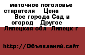 маточное поголовье старателя  › Цена ­ 3 700 - Все города Сад и огород » Другое   . Липецкая обл.,Липецк г.